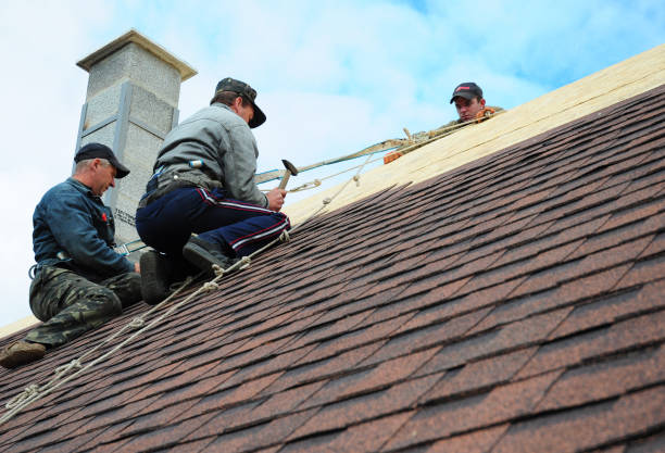 Quick and Trustworthy Emergency Roof Repair Services in Beebe, AR
